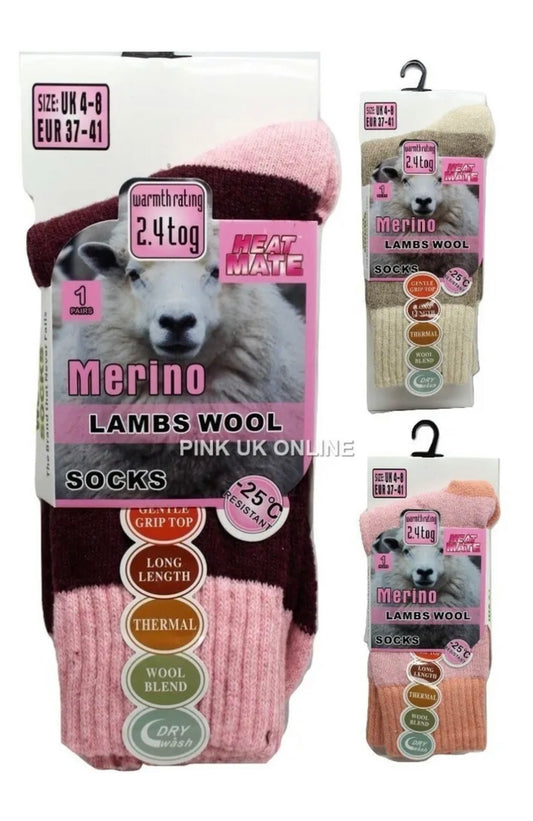 Women’s Merino Lambs Wool Socks Soft Warm 2.4 Tog Thermal